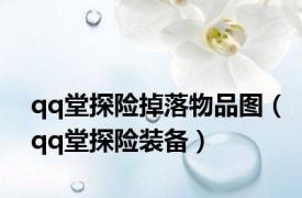 qq堂探险掉落物品图（qq堂探险装备）