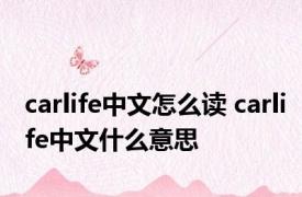 carlife中文怎么读 carlife中文什么意思