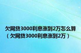 欠网贷3000利息涨到2万怎么算（欠网贷3000利息涨到2万）