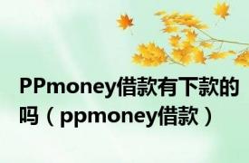 PPmoney借款有下款的吗（ppmoney借款）