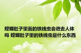 螳螂肚子里面的铁线虫会进去人体吗 螳螂肚子里的铁线虫是什么东西