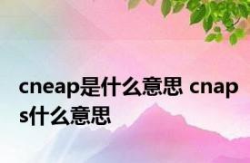 cneap是什么意思 cnaps什么意思