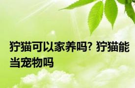 狞猫可以家养吗? 狞猫能当宠物吗