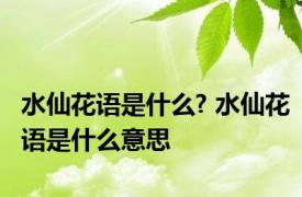 水仙花语是什么? 水仙花语是什么意思