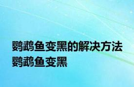 鹦鹉鱼变黑的解决方法 鹦鹉鱼变黑 