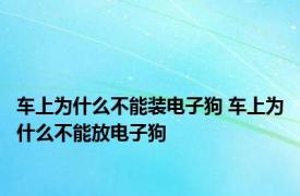 车上为什么不能装电子狗 车上为什么不能放电子狗