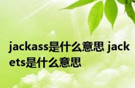 jackass是什么意思 jackets是什么意思