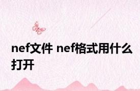 nef文件 nef格式用什么打开