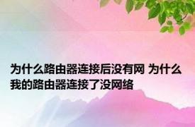 为什么路由器连接后没有网 为什么我的路由器连接了没网络