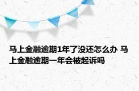 马上金融逾期1年了没还怎么办 马上金融逾期一年会被起诉吗