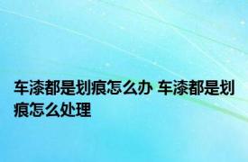 车漆都是划痕怎么办 车漆都是划痕怎么处理