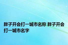 胖子开会打一城市名称 胖子开会打一城市名字