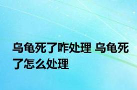 乌龟死了咋处理 乌龟死了怎么处理