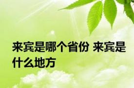 来宾是哪个省份 来宾是什么地方