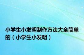 小学生小发明制作方法大全简单的（小学生小发明）