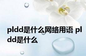 pldd是什么网络用语 pldd是什么