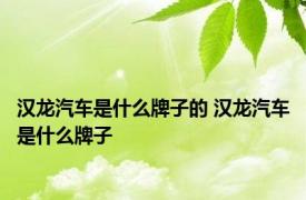 汉龙汽车是什么牌子的 汉龙汽车是什么牌子