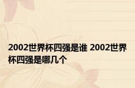 2002世界杯四强是谁 2002世界杯四强是哪几个