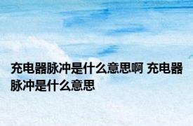 充电器脉冲是什么意思啊 充电器脉冲是什么意思