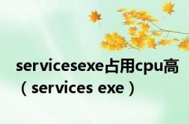 servicesexe占用cpu高（services exe）