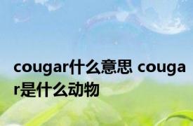 cougar什么意思 cougar是什么动物