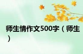 师生情作文500字（师生）