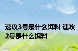 速攻3号是什么饵料 速攻2号是什么饵料