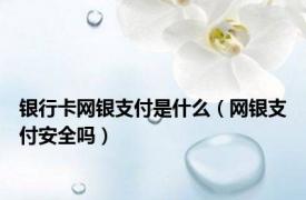 银行卡网银支付是什么（网银支付安全吗）