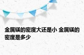 金属镁的密度大还是小 金属镁的密度是多少