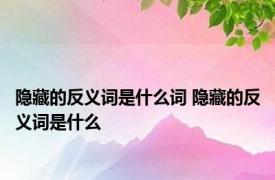 隐藏的反义词是什么词 隐藏的反义词是什么