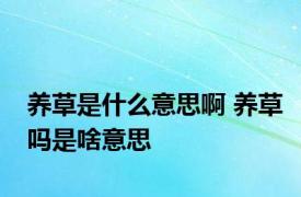 养草是什么意思啊 养草吗是啥意思