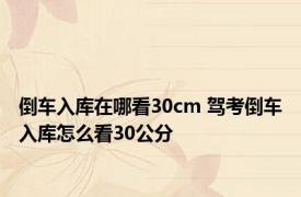 倒车入库在哪看30cm 驾考倒车入库怎么看30公分