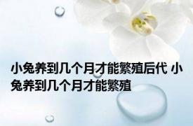 小兔养到几个月才能繁殖后代 小兔养到几个月才能繁殖