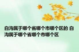 白沟属于哪个省哪个市哪个区的 白沟属于哪个省哪个市哪个区