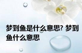 梦到鱼是什么意思? 梦到鱼什么意思