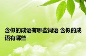 含似的成语有哪些词语 含似的成语有哪些