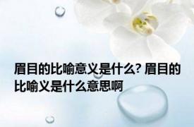 眉目的比喻意义是什么? 眉目的比喻义是什么意思啊