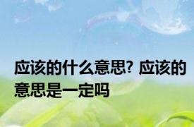 应该的什么意思? 应该的意思是一定吗