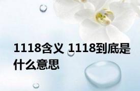 1118含义 1118到底是什么意思