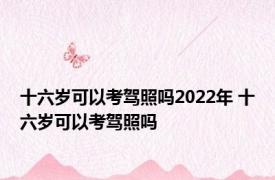 十六岁可以考驾照吗2022年 十六岁可以考驾照吗