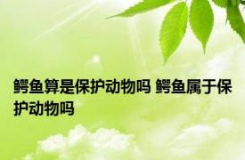 鳄鱼算是保护动物吗 鳄鱼属于保护动物吗