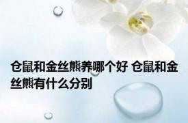 仓鼠和金丝熊养哪个好 仓鼠和金丝熊有什么分别