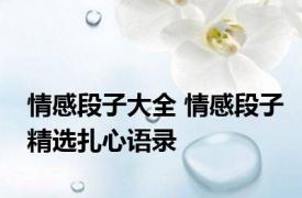 情感段子大全 情感段子精选扎心语录