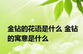 金钻的花语是什么 金钻的寓意是什么