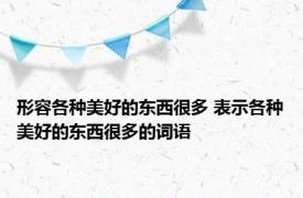 形容各种美好的东西很多 表示各种美好的东西很多的词语