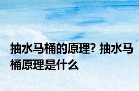 抽水马桶的原理? 抽水马桶原理是什么