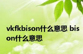 vkfkbison什么意思 bison什么意思