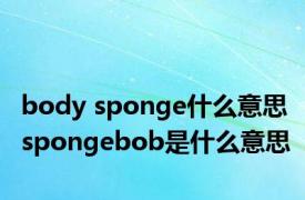 body sponge什么意思 spongebob是什么意思