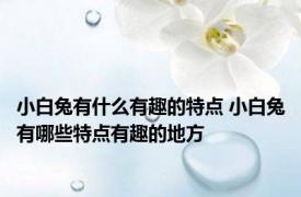 小白兔有什么有趣的特点 小白兔有哪些特点有趣的地方