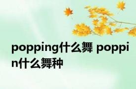 popping什么舞 poppin什么舞种